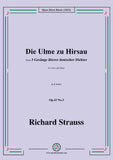 Richard Strauss-Die Ulme zu Hirsau,Op.43 No.3