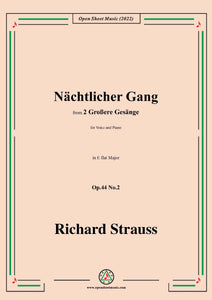 Richard Strauss-Nächtlicher Gang,Op.44 No.2