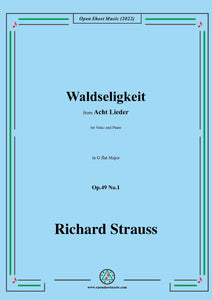 Richard Strauss-Waldseligkeit