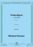 Richard Strauss-Waldseligkeit