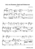 Richard Strauss-Ach,was Kummer,Qual und Schmerzen