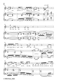 Richard Strauss-Ach,was Kummer,Qual und Schmerzen