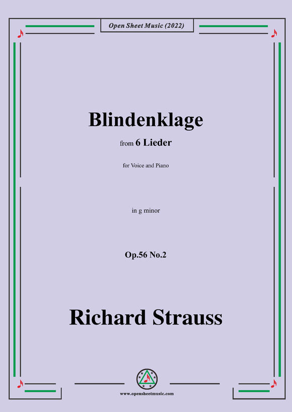 Richard Strauss-Blindenklage