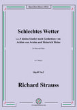 Richard Strauss-Schlechtes Wetter