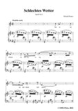 Richard Strauss-Schlechtes Wetter