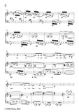 Richard Strauss-Schlechtes Wetter