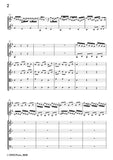 Telemann-Concerto in d minor,TWV 52-d1,for 2 Clarinets and Strings