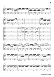 Telemann-Concerto in d minor,TWV 52-d1,for 2 Clarinets and Strings