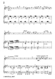Verdi-Il lacerate spirito(A te l'estremo addio), for Flute and Piano