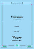 Wagner-Schmerzen