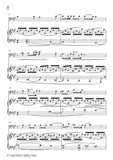 Wolf-Auch kleine Dinge, for Cello and Piano