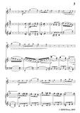 Wolf-Das Vöglein, for Violin and Piano