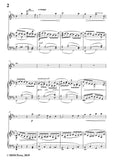 Wolf-Wiegenlied, for Flute and Piano
