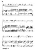 Wolf-Verborgenheit, for Violin and Piano