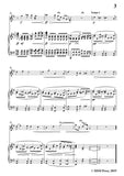 Wolf-Verborgenheit, for Violin and Piano