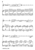 Wolf-Rat einer Alten, for Violin and Piano