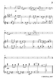 Wolf-Das verlassene Mägdlein, for Cello and Piano