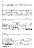 Wolf-Mignon, for Flute and Piano