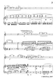 Wolf-Mignon, for Flute and Piano