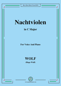 Wolf-Nachtviolen