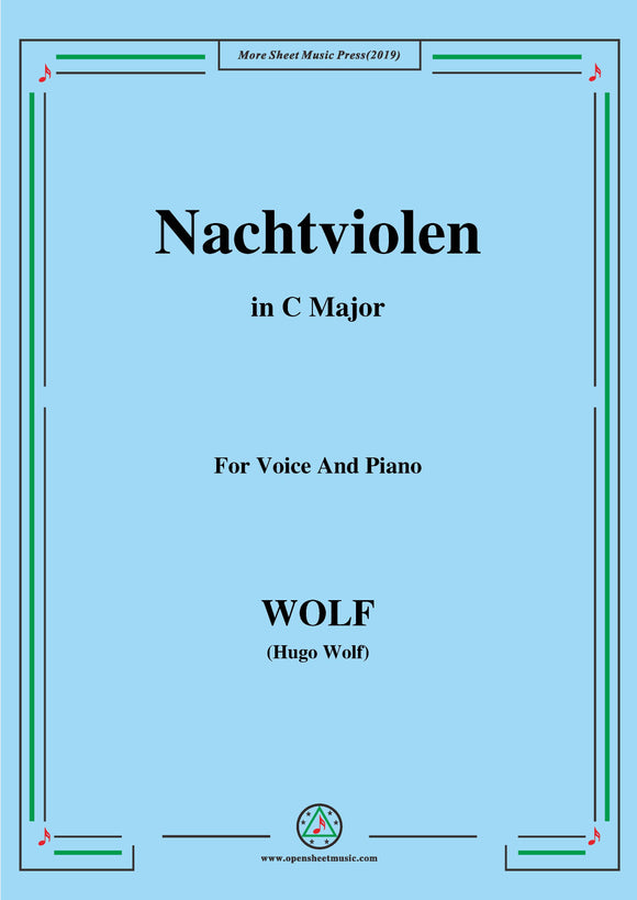 Wolf-Nachtviolen