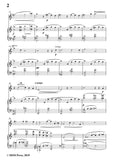 Wolf-Im frühling, for Flute and Piano