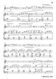 Wolf-Im frühling, for Flute and Piano