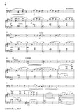 Wolf-Im frühling, for Cello and Piano
