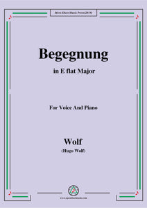 Wolf-Begegnung