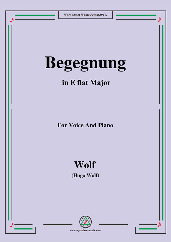 Wolf-Begegnung