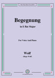 Wolf-Begegnung