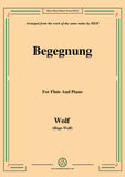 Wolf-Begegnung, for Flute and Piano