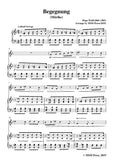 Wolf-Begegnung, for Flute and Piano