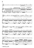 Wolf-Begegnung, for Flute and Piano