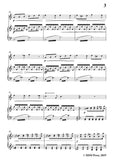 Wolf-Begegnung, for Flute and Piano