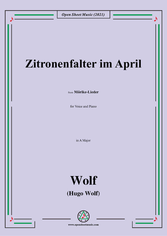 Wolf-Zitronenfalter im April, IHW 22 No.18