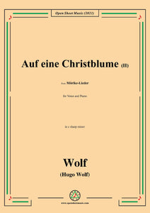 Wolf-Auf eine Christblume II,in c sharp minor,IHW 22 No.21,from Morike-Lieder,for Voice and Piano