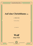 Wolf-Auf eine Christblume II,in c sharp minor,IHW 22 No.21,from Morike-Lieder,for Voice and Piano