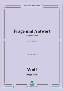 Wolf-Frage und Antwort