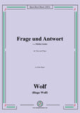 Wolf-Frage und Antwort