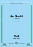 Wolf-Nixe Binsefuß