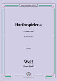 Wolf-Harfenspieler I