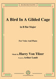 Harry Von Tilzer-Bird In A Gilded Cage