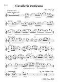 Mascagni-Fantasia on Airs,for Violin and Piano